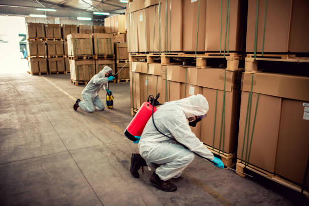 Best Exterminator Services  in Arche, OK