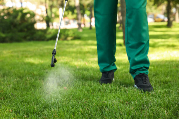 Best Pest Control for Businesses  in Arche, OK