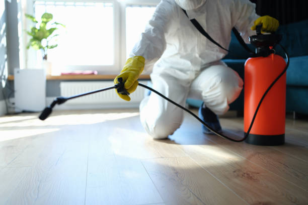 Best Pest Prevention Services  in Arche, OK