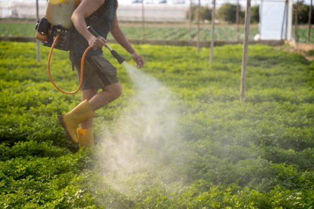 Best Residential Pest Control  in Arche, OK