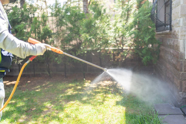 Best Emergency Pest Control  in Arche, OK