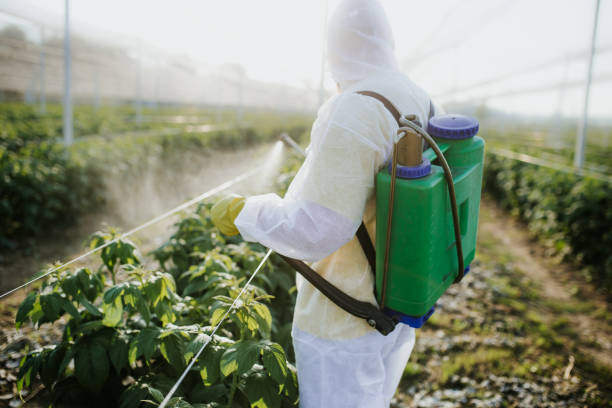 Best Best Pest Control Companies  in Arche, OK